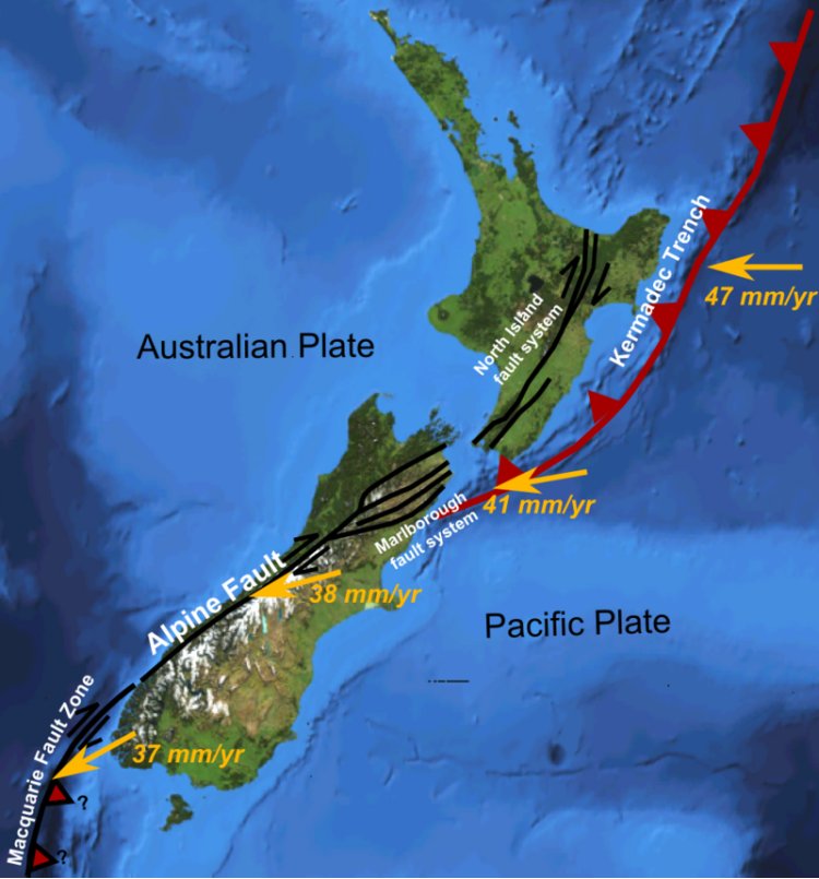 Strong Earthquake Strikes New Zealand