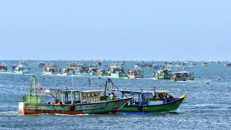 15 Tamil Nadu Fishermen Released After Sri Lankan Arrest: Full Story & Updates.